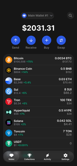 Gem Wallet interface