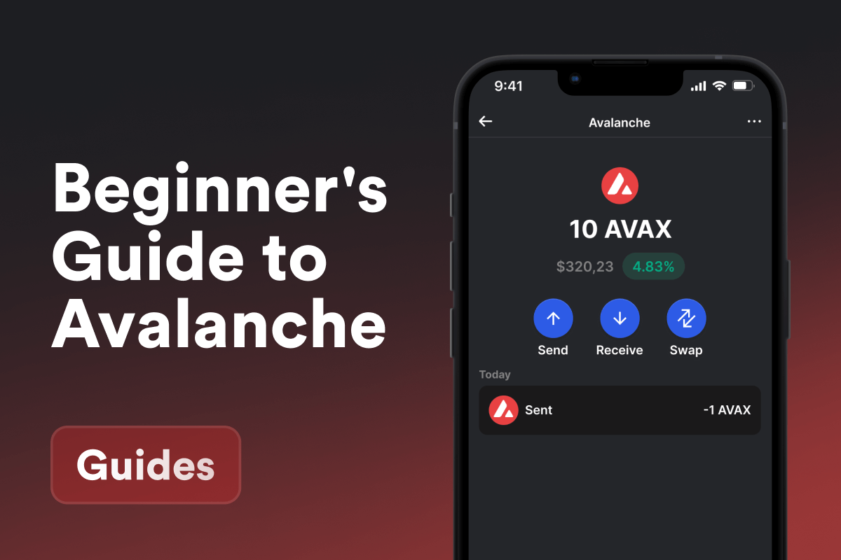 A Beginner's Guide to Avalanche Blockchain