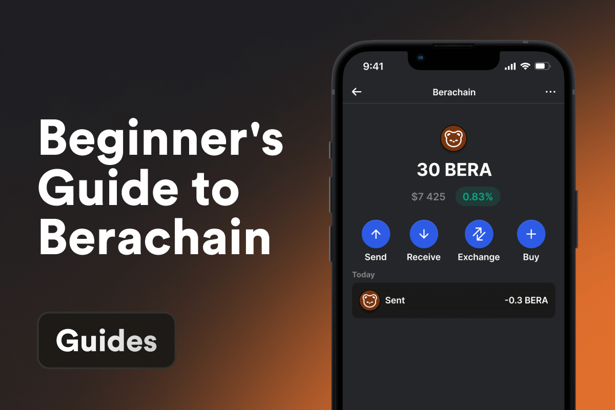 A Beginner's Guide to Berachain Blockchain