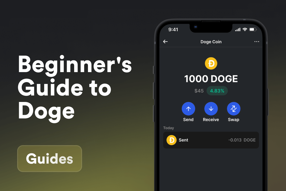 A Beginner's Guide to Doge Blockchain
