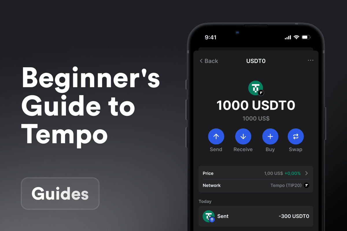 A Beginner's Guide to Tempo Blockchain