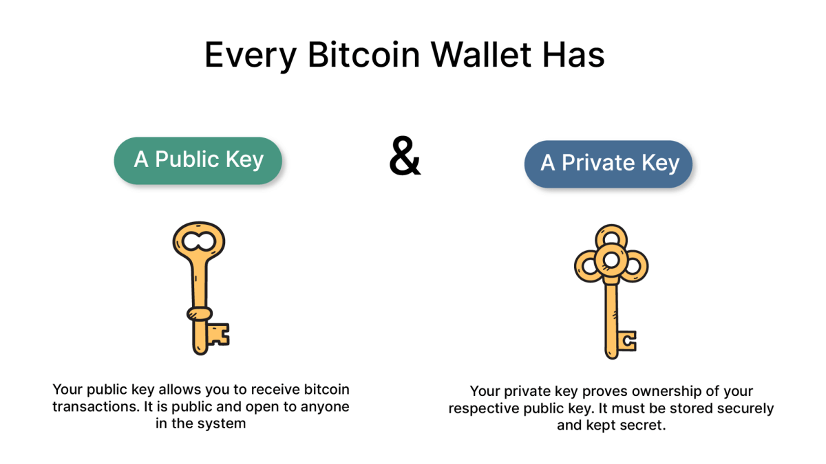 Public and private keys of a Bitcoin Wallet