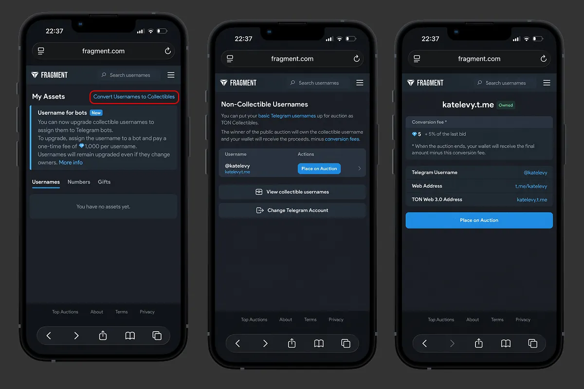 Vente aux enchères d’un pseudo Telegram sur Fragment