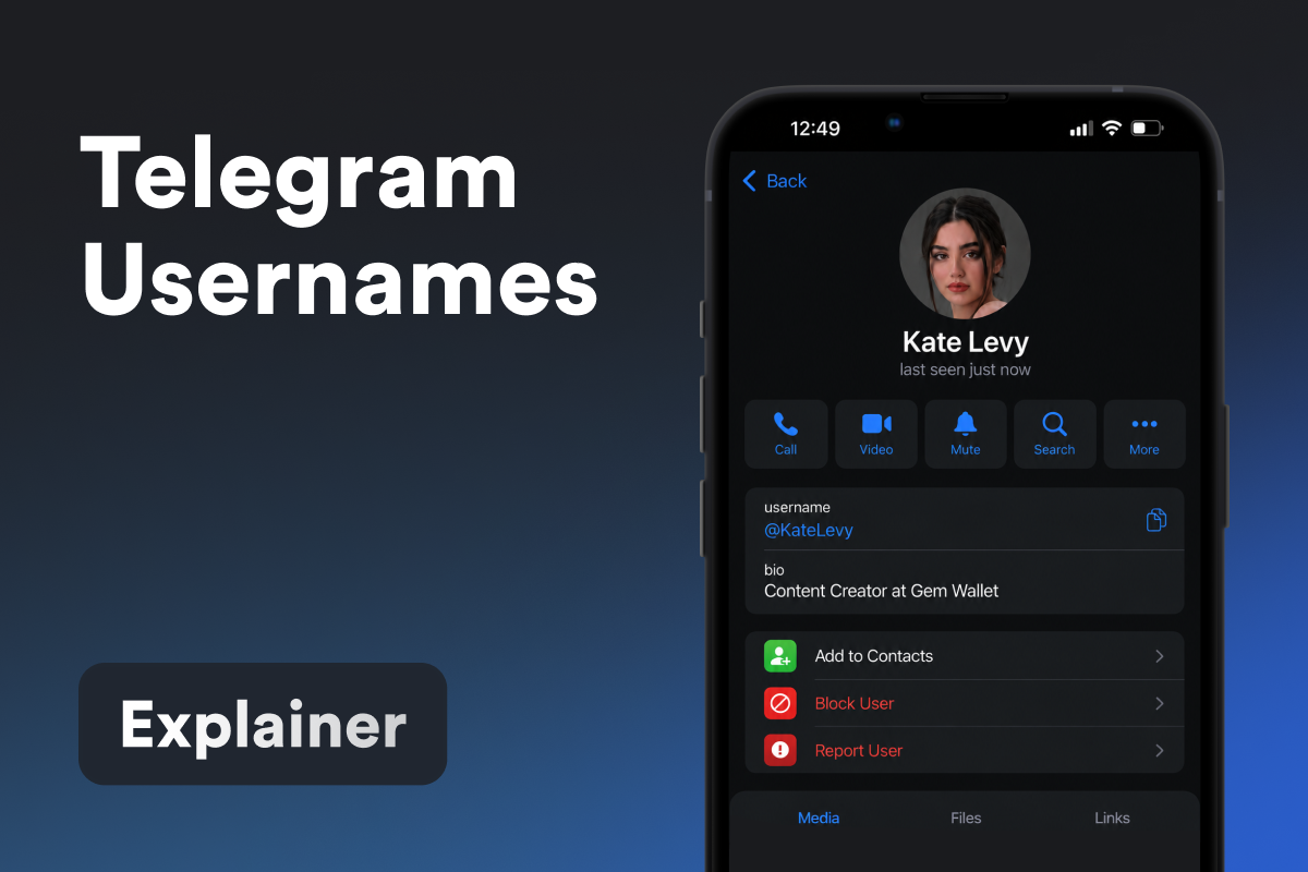 Telegram kullanıcı adları: nedir ve ne işe yarar