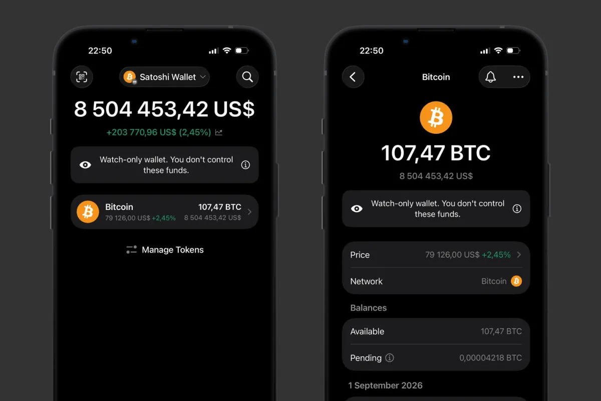 Asset screen and home screen of a Watch Wallet in Gem Wallet