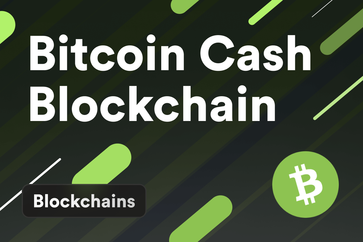 What Is The Bitcoin Cash Blockchain?