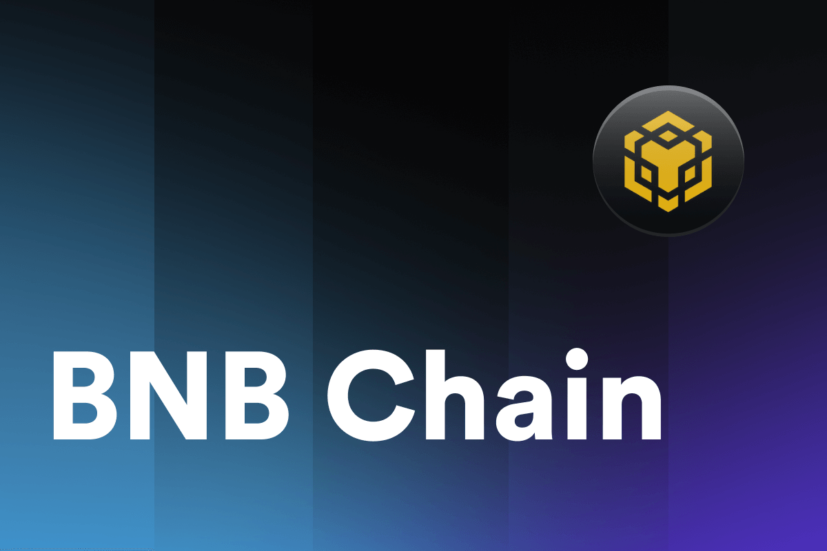 What Is the BNB Chain?