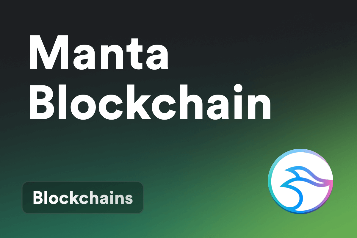 What Is The Manta Blockchain?