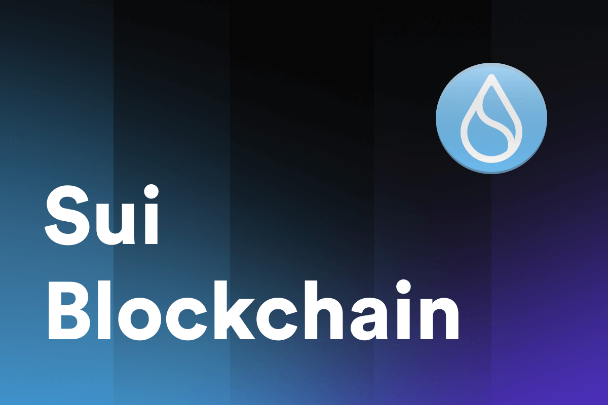 What Is the Sui Blockchain?