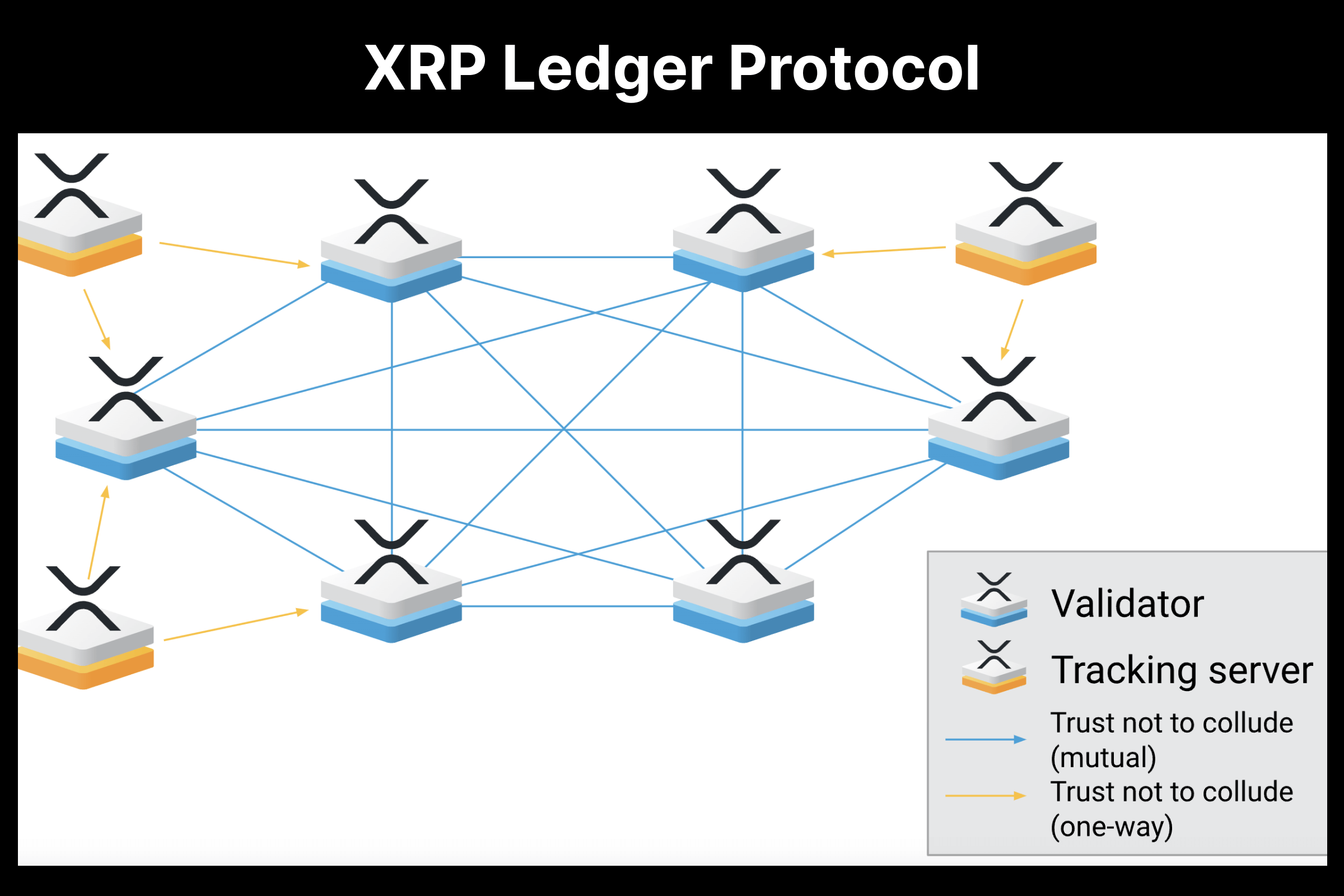Participants in the XRP Ledger Protocol.